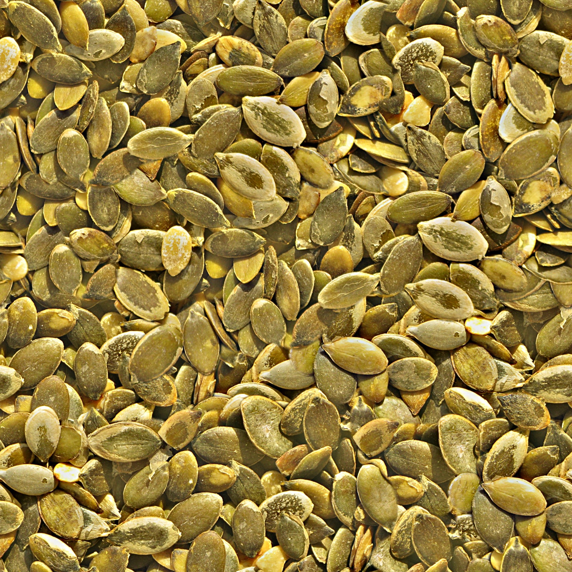 pumpkin-seeds-free-stock-photo-public-domain-pictures