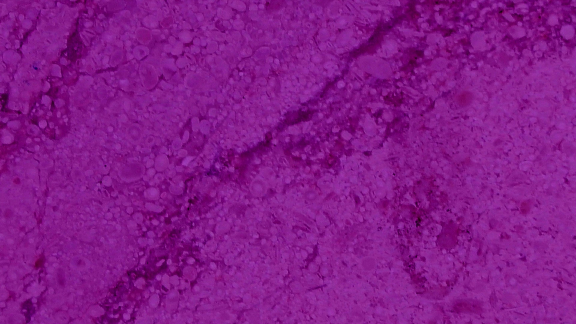 紫色の大理石のテクスチャ背景 無料画像 Public Domain Pictures
