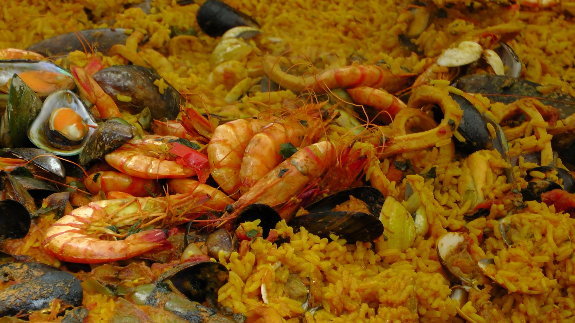 Seafood Paella Free Stock Photo - Public Domain Pictures