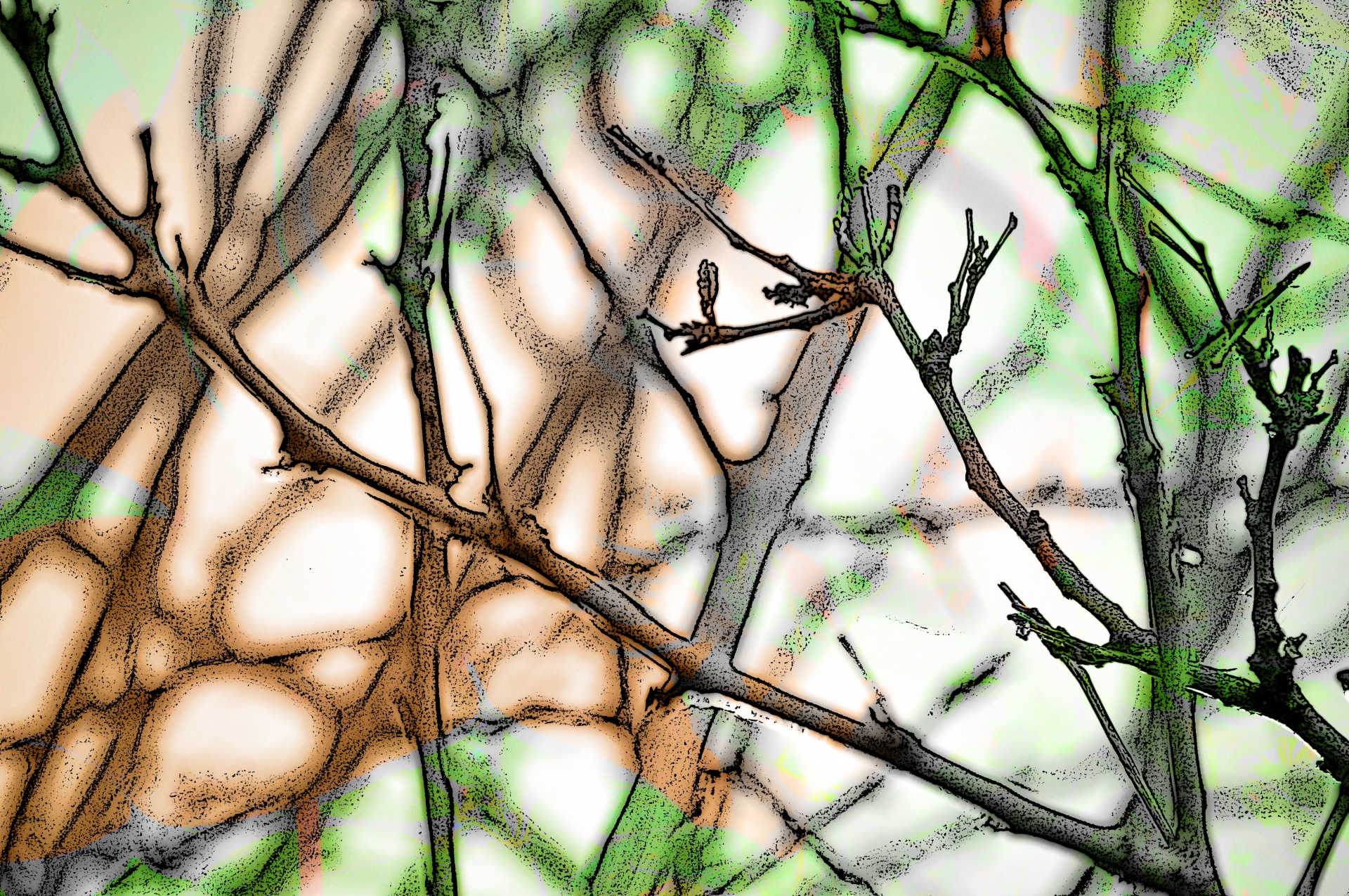 Tangled Branches Background Free Stock Photo - Public Domain Pictures