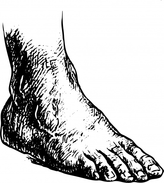 Human Foot Free Stock Photo - Public Domain Pictures