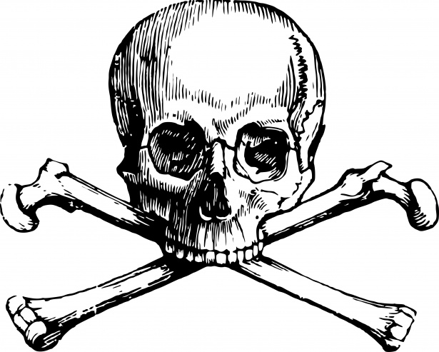 Skull And Crossbones Free Stock Photo - Public Domain Pictures
