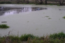 Lagoa com lama