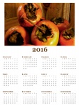 2016 anual Persimmon Calendar