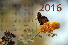 2016 Monarch Butterfly Calendar # 2