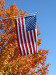 American Flag and Autumn Tree