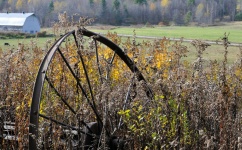 Antique Wheel On The Farm