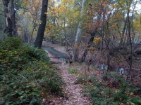 Podzimní Lesní stezka