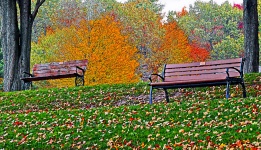 Benches In The Fall