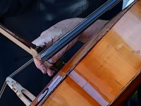 Cellist Playing Cello