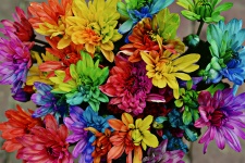 Kolorowe kwiaty