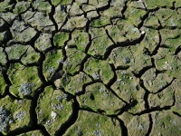 福尔瑟姆湖干旱66