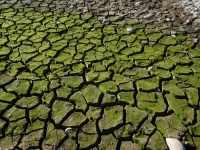 Folsom Lake sequía 84