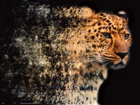 Fractal Shatter Leopard-Kopf-