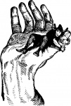 Óriás Hand