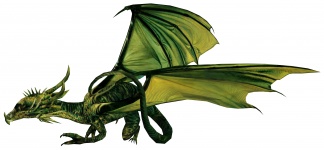 Grön drake