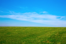 Grönt fält och blå himmel