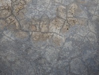 Szürke repedt beton Texture