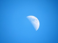 Half Månen i dagsljus
