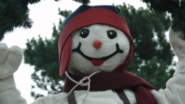 Snowman fericit