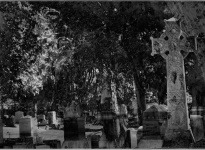 Strašidelném hřbitově
