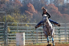 Kůň a jezdec Dívka