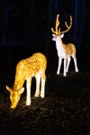 Illuminated deer
