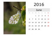 Kalendarz - czerwiec 2016 (w języku angi