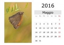 Kalender - Mai 2016 (italienisch)
