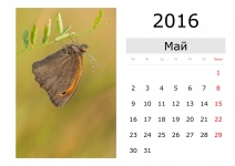 Kalender - Mai 2016 (russisch)