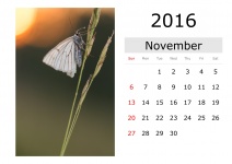 Kalender - November 2016 (englisch)