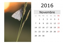 Kalender - November 2016 (italienisch)