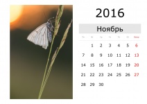 Kalender - November 2016 (russisch)