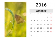 Kalender - Oktober 2016 (englisch)