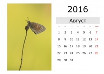 Calendrier - Août 2016 (Russie)