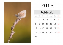 Calendrier - Février 2016 (en italien)