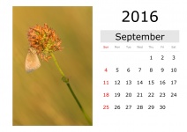 Kalender - September 2016 (englisch)