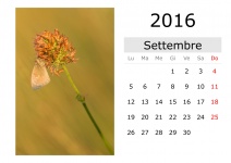 Kalender - September 2016 (italienisch)