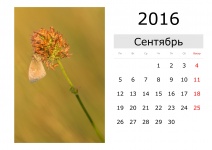 Kalender - September 2016 (russisch)