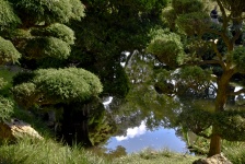 Mirror Pool Japanese Garden