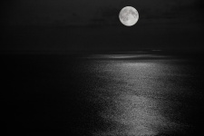 Moonlight reflektion