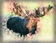 Moose Artistic Background