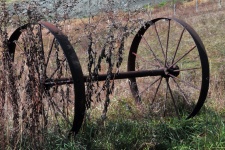Old Plow Wheels In The Fields