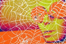 Orange Guy Spider Web