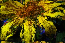Picasso Sunflower