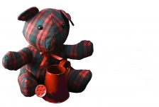 Plaid Bear and Watercan