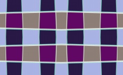 фиолетовые блоки