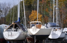 Sailboats In The Fall
