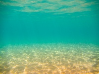 Zeebodem onder water