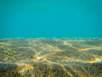 Fondale marino subacqueo